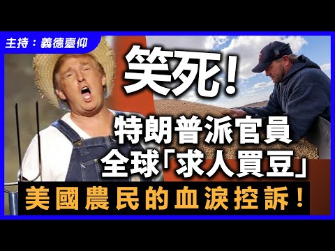 笑死！特朗普派官員全球「求人買豆」巴西阿根廷集體「躺贏」，美國農民的血淚控訴！