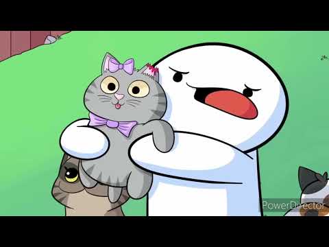 Best odd1sout videos to fall asleep to