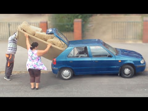 Humans are Getting Dumber