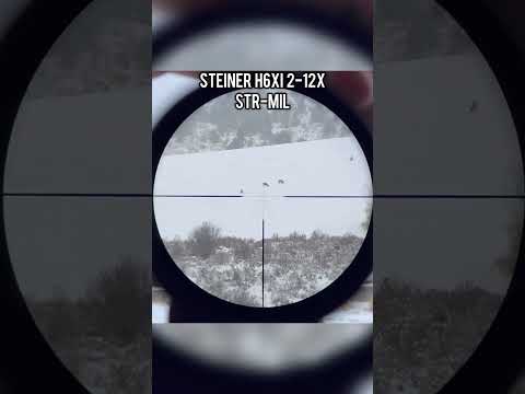 Optics Comparison: Vector 2-12x vs Steiner H6Xi 2-12x vs OneLeaf MT1000LRT vs DNT Hydra HS635 @ 450M
