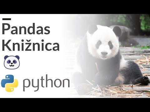 Online kurz Python Knižnice - Pandas Series, Typy, Data Range, Array, Timestamp 🐼