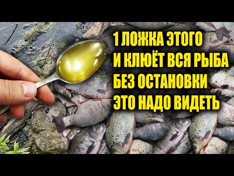 КЛЮЁТ ВСЯ РЫБА, СЕКРЕТ КЛЁВА СССР. Всего 1 ложка и будет не рыбалка а бешеный клёв