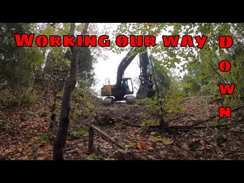 Clearing a steep slope, in an attempt to build a road, so we can build a crazy pond!