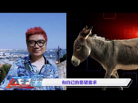 北京知情警察爆料：于朦朧臉部...于朦朧助理“杜強”曾在微博發圖：手S蛋糕人！｜新聞拍案驚奇