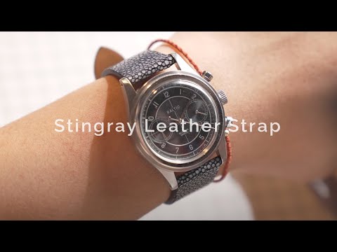 Baltic Bicompax 002 Black | Baltic Watch Strap Making (Handmade Stingray Leather Strap)