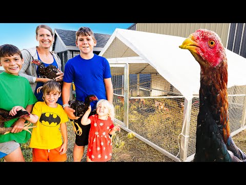 Our New Coop for the Tallest Chickens in the World