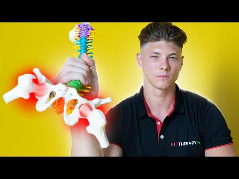 ТАЗОБЕДРЕННЫЙ СУСТАВ - ВАЖНЕЕ, ЧЕМ ПОЗВОНОЧНИК. Улучшение БИОМЕХАНИКИ через ДИНАМИЧЕСКИЕ РАСТЯЖКИ