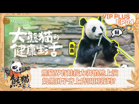 FULL｜熊猫界育娃接力赛悄然上演 奶熊团子齐上阵围困蓉妈？｜《熊猫一家人Panda‘s Family》｜EXTRA 04｜MangoTV