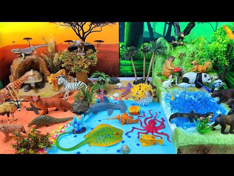 Jungle, Ocean & Savanna Animals for Kids | Colorful Diorama Learning Video