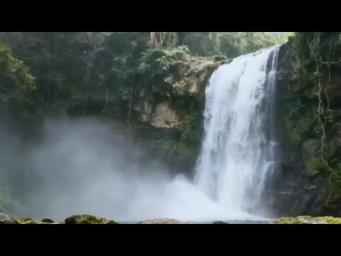 Tibetan Flute Meditation | Sacred Instrumental Music for Deep Healing & Inner Awakening