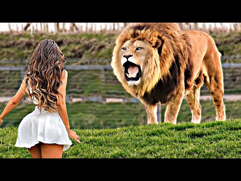 Попробуй НЕ ЗАПЛАКАТЬ! 😥 Топ 25 Моментов Встречи Животных с Хозяевами После Долгой Разлуки №11