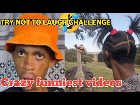 Crazy Funny Videos Compilation🤣 | Try Not To Laugh Ep. 28