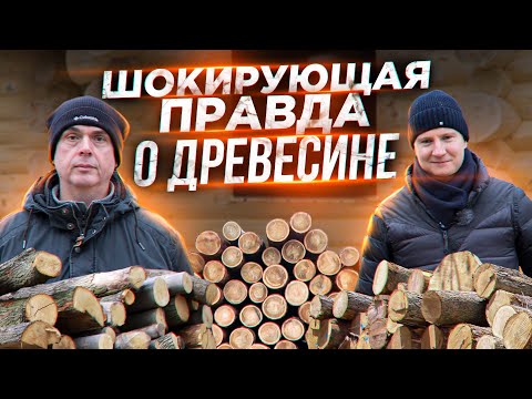 Шокирующая правда о древесине | Почему выгодно строительство деревянного дома