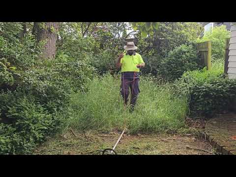 80 year old Elderly lady desperately needed a Gardener 