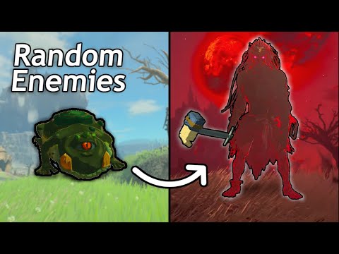 Tears of the Kingdom Speedrun, but the Enemies are Random