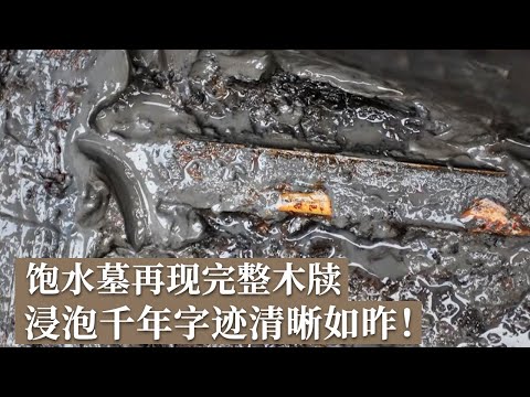 云梦饱水墓惊喜再现！不起眼小墓出土木牍 淤泥浸泡数千年 字迹清晰如昨！《探索·发现》郑家湖2023新发掘（下）丨 中华国宝