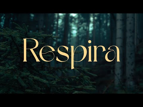 El silencio también cura - Música clásica para calmar la mente