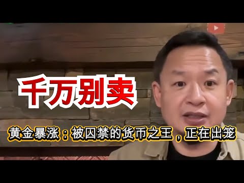 当所有人开始抢黄金，说明一个时代要结束了｜黄金暴涨｜历史规律 #黄金 #避险资产 #金融危机