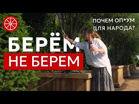 To take or not to take | How to choose plants for the garden?