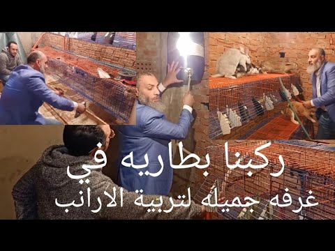 ايه رايك في الغرفه الجميله دي وركبنا البطاريه ممكن تبدا في غرفه زي دي تربية ارانب