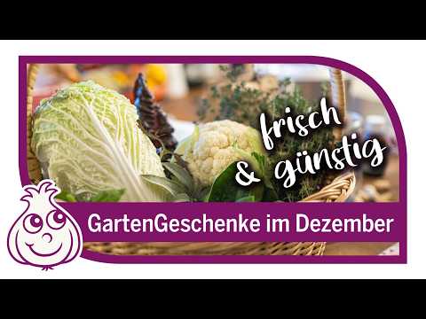 So geht Selbstversorgung im Winter