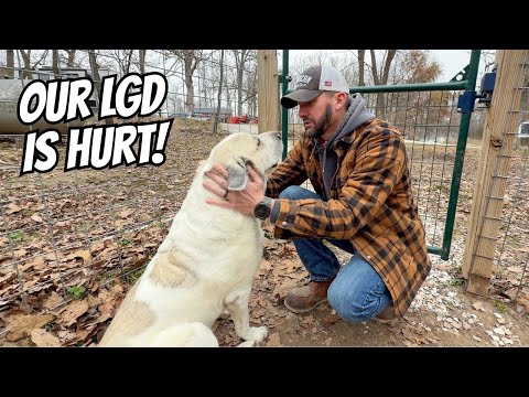 NOT the Way We Wanted To Start the Year...