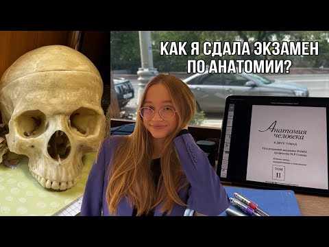 Готовлюсь к экзамену по анатомии за 2 дня | влог