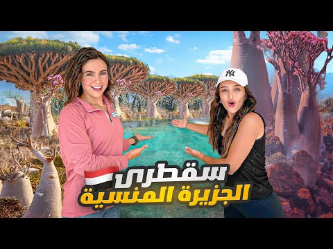 The first Syrian girl to visit Socotra Island in Yemen 🇾🇪