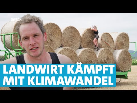 Die schlechteste Ernte seiner Karriere! Landwirtschaft und Klimawandel