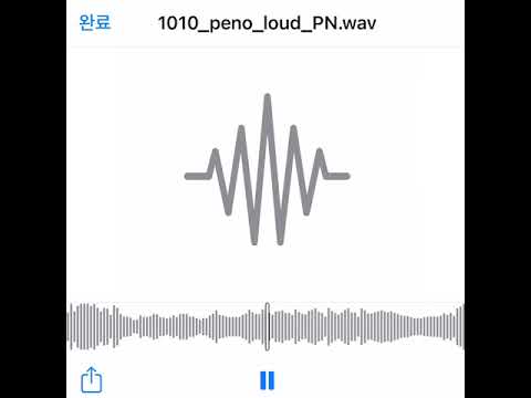 1010_peno_loud_PN