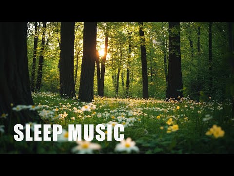 10 Hours of Soothing Piano & Guitar Music for Deep Sleep, Study & Stress Relief (Valeria)