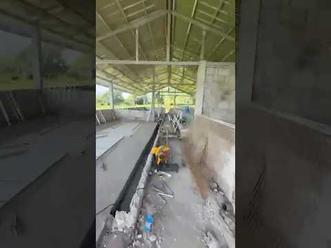 Pigpen progress #piggery #shorts #pig #hograiser #province #business