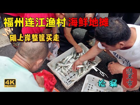 福州海边渔村早晚市，跟着本地人买地摊也砍价，“土豪”一筐鱼直接买走💰