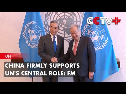 China Firmly Supports UN's Central Role: FM