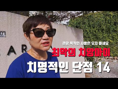 솔직히 말할게요… 치앙마이는 이제 끝났습니다 [치앙마이 EP.5]