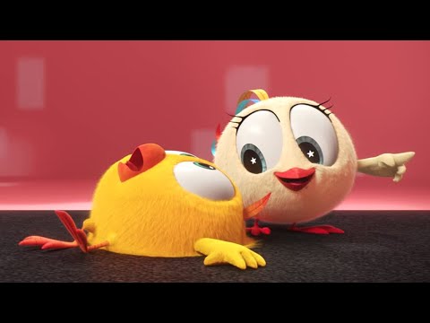 No Time to Nap! | Where's Chicky? | Cartoon Collection in English for Kids | New episodes