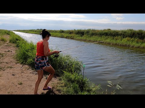 The fish are biting so hard that I'm too lazy to even cast my fishing rods! Hurray! He's coming w...