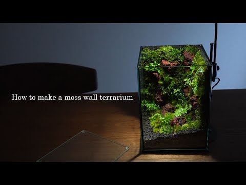Uncut Version: "Terrarium with a Moss Wall"