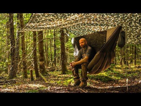 Bushcraft Camping In The Forest