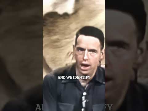 Alan Watts✨What is Satori? From ‘The Void’ Eastern Wisdom & Modern Life episode.