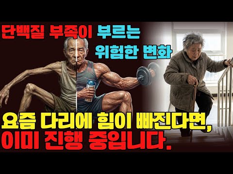 요즘 다리에 힘 빠지나요? | 단백질 부족 해결하는 7가지 식단