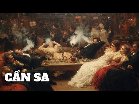 Hồ sơ chất cấm: Lịch Sử Cần Sa - Từ Món Quà Của Thần Shiva Đến Loài Cây Bị Truy Nã Gắt Gao Nhất