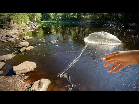1. MAL WURFNETZ FISCHEN AN KLEINEM BACH