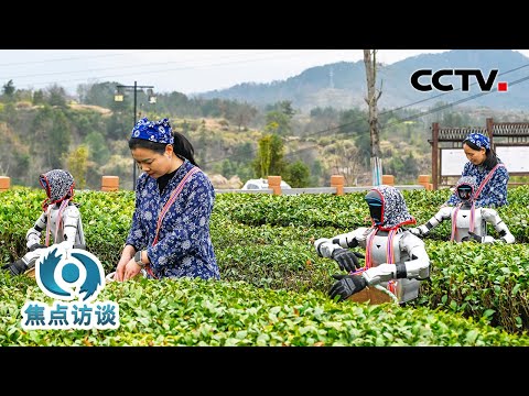 种粮更高效、更省心!人工智能走进田间地头,带来哪些改变?| CCTV「焦点访谈」20260324