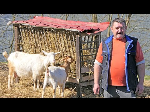 Čuva koze gdje niko ne čuva, prije 10 godina ovdje bila tragedija