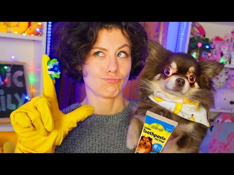 ПРОВЕРИЛИ ЛАЙФХАКИ для ЖИВОТНЫХ