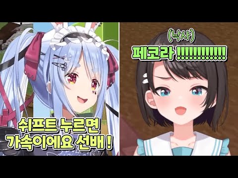 페코라의 스바루 괴롭히기는 계속된다 [홀로라이브 - 우사다 페코라]