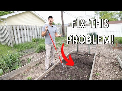 Do THIS if You Have Compacted Soil For a Great Garden!