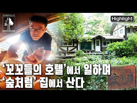 ‘하루 종일 초록을 수혈 받는다’ 숲에서 일하고 숲에 살며 숲을 닮아간다는 부부의 철학 | 자연의 철학자들 21부 '우리는 숲처럼 산다' (KBS 20220812 방송)
