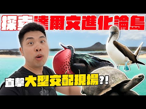 達爾文在這發現了進化論！揭密充滿奇特生物的偏遠島嶼！